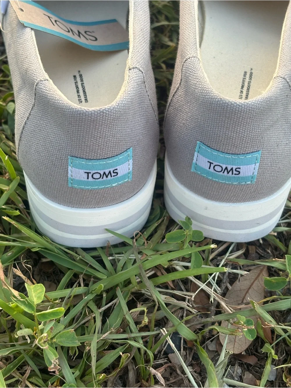 Toms grey canvas